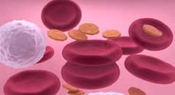 मलेरिया बुखार से बचाता है प्लेटलेट !