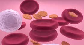 Is platelet loss always risky in dengue? Here are 5 risks of platelet transfusions Is platelet loss always risky in dengue? Here are 5 risks of platelet transfusions