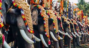 ISIS terror threat for Kumbh Mela and Thrissur Pooram - follow these food safety tips at fairs and festivals