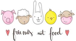 Reasons to use vegan, cruelty free products