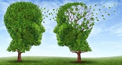 Can antivirals help in reducing risk of Alzheimer's disease?