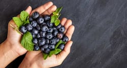 Blueberry vinegar -- A potential treatment for dementia