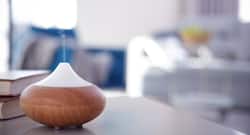 Home decor tips: Here's how to purify air inside your home and keep your family healthy