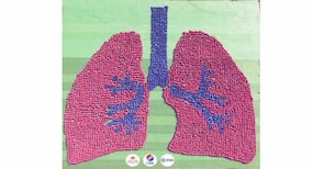 Lung Care Foundation & Petronet LNG awarded Guinness world record of creating the ‘largest human image of lung'