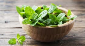 Here’s how you can store your fresh, in-season herbs for months