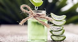 Aloe vera face pack for soft and smooth skin in winter