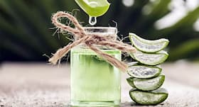 Aloe vera face pack for soft and smooth skin in winter Aloe vera face pack for soft and smooth skin in winter