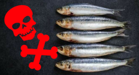 6 dangers of seafood no one told you about