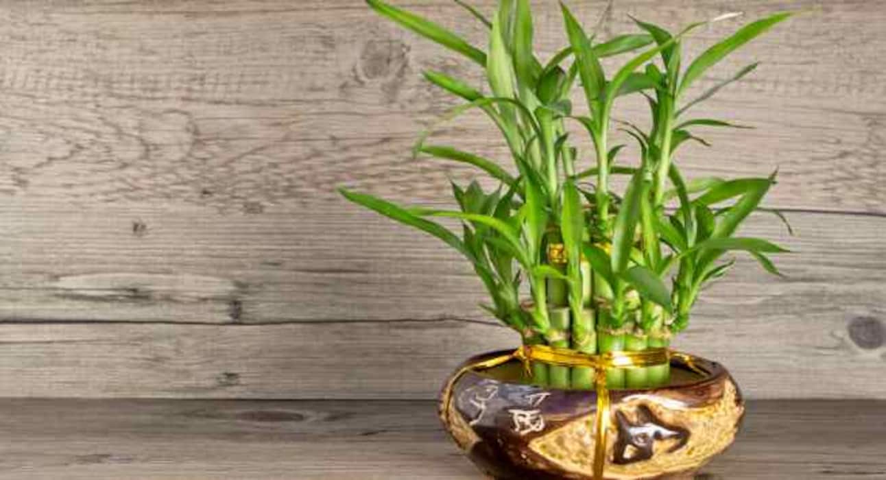 4 vastu tips to bring in positivity, financial security and tranquility at home