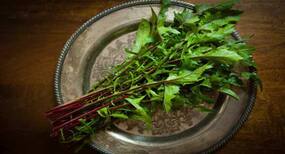 Health benefits of dandelion leaves