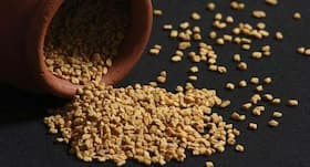 5 side effects of methi or fenugreek you didn't know about