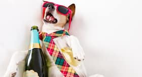 8 real people share their best hangover remedies