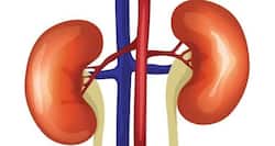 Heartburn drug linked to kidney disease