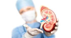 Found -- 3D printing technique that creates super soft organ replicas Found -- 3D printing technique that creates super soft organ replicas