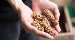 Is kopi luwak or civet coffee or cat poop healthier than regular coffee?