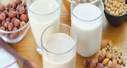 क्या आप पतले हैं? वजन बढ़ाने के लिए खाएं ये 5 वेजिटेरियन फूड्स