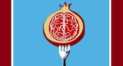 Memory problems? Here's why you should eat pomegranate