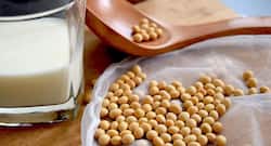 Breast cancer survivors can eat soy foods to reduce side effects of treatment