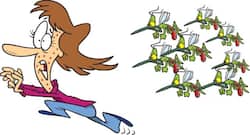 मलेरिया से बचने के लिए फॉलो करें ये टिप्स