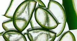 6 questions you must ask yourself before using aloe vera