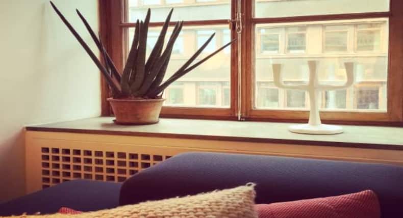 Ways to decorate your house with indoor plants