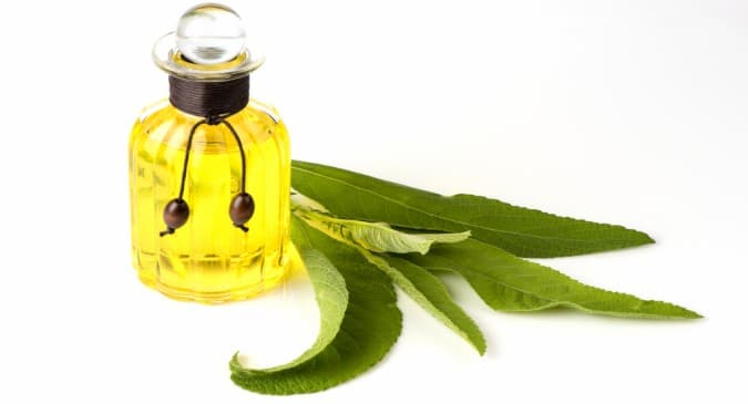 Health Benefits Of Camphor Essential Oil That You MUST Know ...