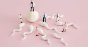 What are fertility preservation techniques for cancer patients? What are fertility preservation techniques for cancer patients?