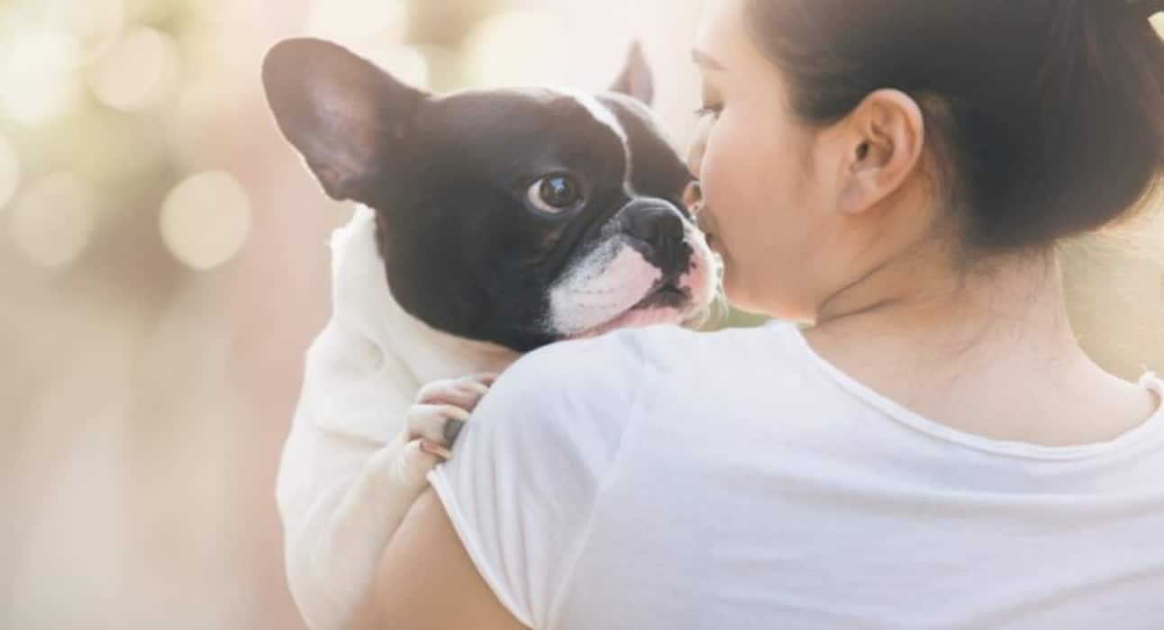 Here are some super cute dog pictures to take away all your stress