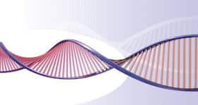Repair damaged DNAs: Human cells are first responders