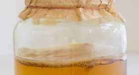 Here's how you can make kombucha (probiotic black tea) at home