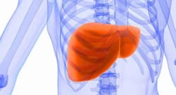 World liver Day 2018: essential tips to manage liver disorders