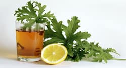 5 amazing health benefits of geranium tea