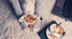 Healthy and delicious beverages to keep you warm this winter