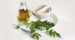 Home remedy for lice: Neem and curry leaves hair oil