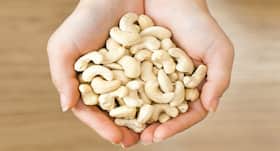 Here's why regular intake of cashew nuts is a good idea!