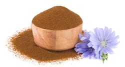 Chicory: Health Benefits, Uses And Side Effects Of Kasani