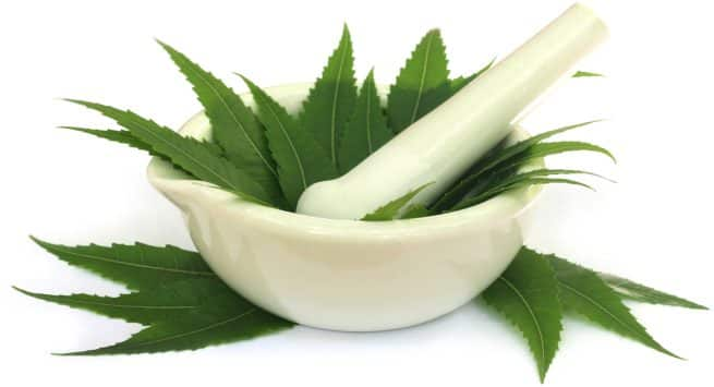 Ways To Use Neem Leaves For Dandruff Sore Throat