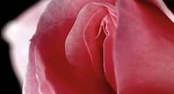 This home remedy can help in faster healing of episiotomy after vaginal birth