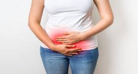 Ebola virus can affect reproductive organs says study