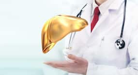 4 reasons for the non-alcoholic fatty liver in children