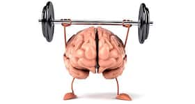 'Brain values foods loaded with fats and carbs' says study