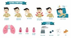 World Asthma Day 2018: Everything you want to know about allergic asthma and allergens