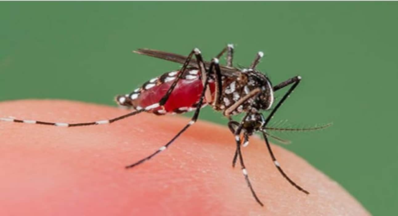 World Malaria Day 2018: 4 tips to keep malaria at bay