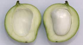 Summer wellness: 6 Health benefits of 'gutli' or mango seeds