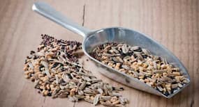Health benefits of panch phoron or Indian five spice blend you should know