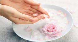 Flower-infused drinking waters you must try this summer