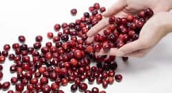 क्रैनबेरी है लाजवाब ! महिलाओं में UTI के दोबारा होने के जोखिम को करती है कम