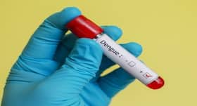 Hydrate yourself to fight dengue and chikungunya