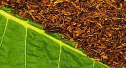 Every 6 Seconds, tobacco use causes one death