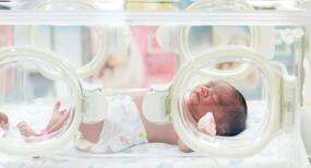 Eating fish can reduce the chance of preterm delivery